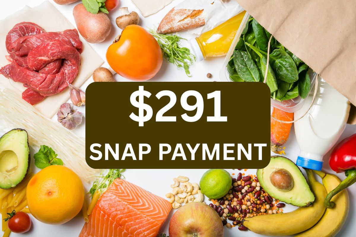 $291 SNAP Payment May 2025, Check State Wise Schedule