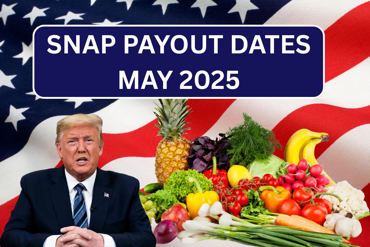 SNAP Payout Dates May 2025, Check Amount